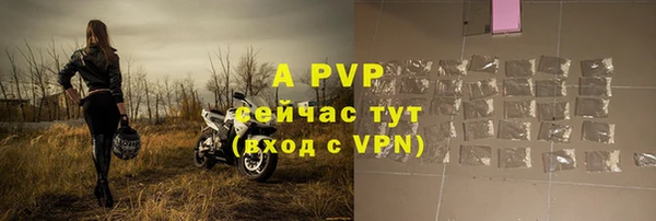 стафф Дмитриев