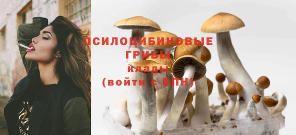 стафф Дмитриев