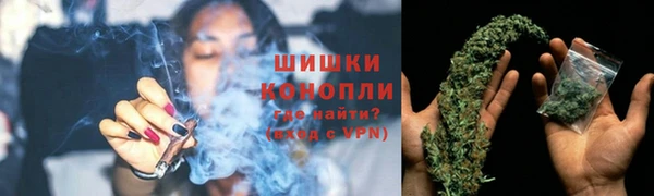 стафф Дмитриев