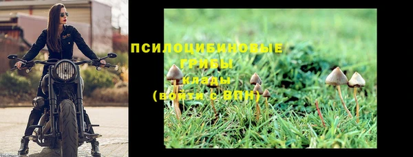 стафф Дмитриев