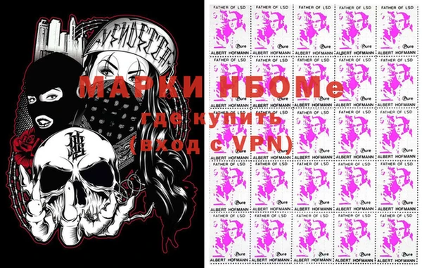 стафф Дмитриев