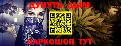 крисы Славгород