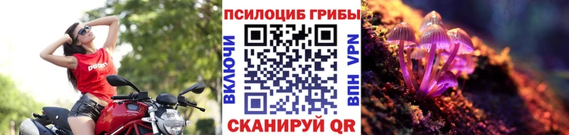 Псилоцибиновые грибы Psilocybe  Чебаркуль 